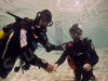divers diveing cyprus